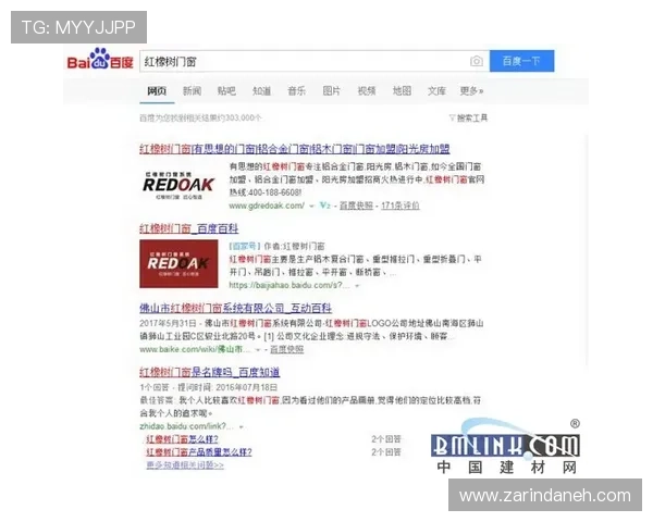 广东ag的贵宾会如何凭借优质服务赢得会员青睐，成为行业内的领先典范